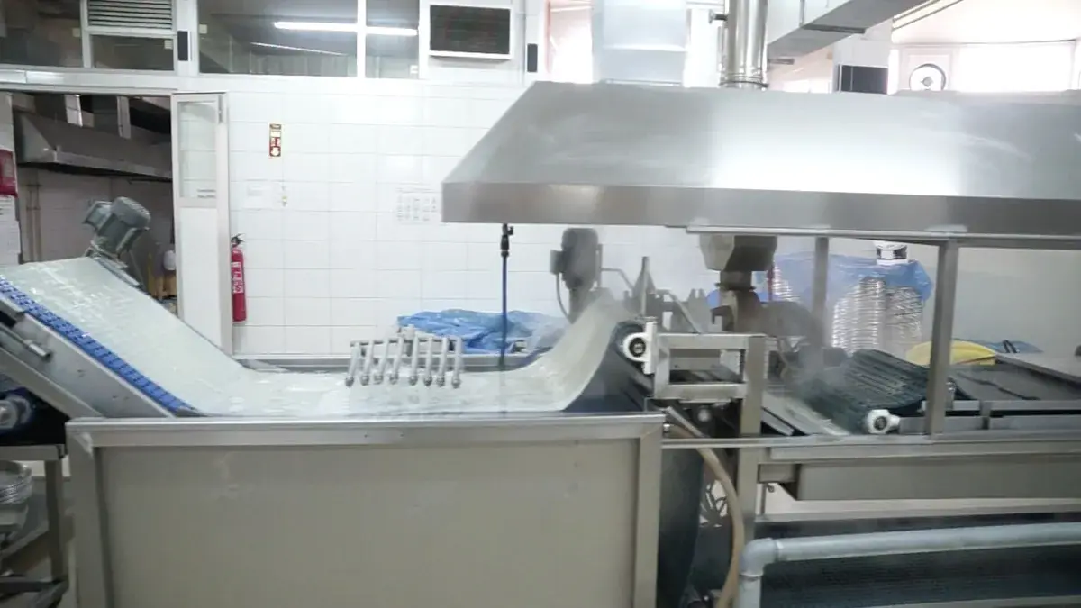 Donuk kır pidesi -35°C şoklama hattı